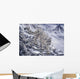 Snow Leopard Wall Mural