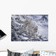 Snow Leopard Wall Mural