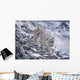 Snow Leopard Wall Mural