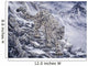 Snow Leopard Wall Mural