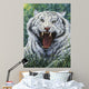White Tiger 2 Wall Mural