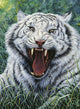 White Tiger 2 Wall Mural