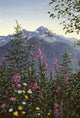 Hummingbird Landscape Wall Mural