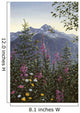 Hummingbird Landscape Wall Mural