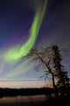 Aurora Borealis over Yukon Wall Decal Design 4