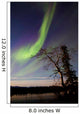 Aurora Borealis over Yukon Wall Decal Design 4