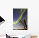 Aurora Borealis with Moonlight Wall Decal Design 32