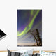 Aurora Borealis with Moonlight Wall Decal Design 32