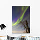 Aurora Borealis with Moonlight Wall Decal Design 32