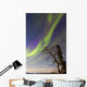 Aurora Borealis with Moonlight Wall Decal Design 32