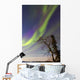 Aurora Borealis with Moonlight Wall Decal Design 32