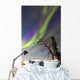 Aurora Borealis with Moonlight Wall Decal Design 32