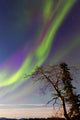 Aurora Borealis with Moonlight Wall Decal Design 32