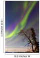 Aurora Borealis with Moonlight Wall Decal Design 32