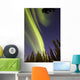 Aurora Borealis with Trees Wall Decal Design 11