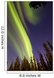 Aurora Borealis with Trees Wall Decal Design 11