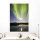 Aurora Borealis and Full Wall Decal Design 3