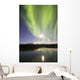 Aurora Borealis and Full Wall Decal Design 3