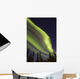Aurora Borealis with Trees Wall Decal Design 10