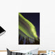 Aurora Borealis with Trees Wall Decal Design 10
