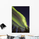 Aurora Borealis with Trees Wall Decal Design 10