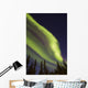Aurora Borealis with Trees Wall Decal Design 10