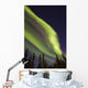 Aurora Borealis with Trees Wall Decal Design 10