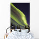 Aurora Borealis with Trees Wall Decal Design 10