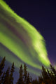 Aurora Borealis with Trees Wall Decal Design 10