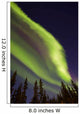 Aurora Borealis with Trees Wall Decal Design 10