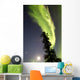 Aurora Borealis with Tree Wall Decal Design 4