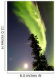 Aurora Borealis with Tree Wall Decal Design 4