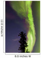 Aurora Borealis with Tree Wall Decal Design 3