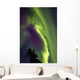 Aurora Borealis Whitehorse Yukon Wall Decal