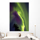 Aurora Borealis Whitehorse Yukon Wall Decal