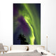 Aurora Borealis Whitehorse Yukon Wall Decal