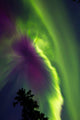 Aurora Borealis Whitehorse Yukon Wall Decal