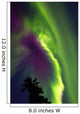 Aurora Borealis Whitehorse Yukon Wall Decal