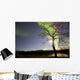 Aurora Borealis with Tree Wall Decal Design 2