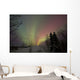 Aurora Borealis Twin Lakes Wall Decal Design 2