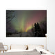 Aurora Borealis Twin Lakes Wall Decal Design 2