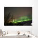 Aurora Borealis Twin Lakes Wall Decal Design 1