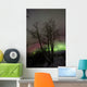 Aurora Borealis with Tree Wall Decal Design 1