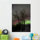 Aurora Borealis with Tree Wall Decal Design 1