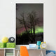 Aurora Borealis with Tree Wall Decal Design 1
