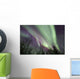 Aurora Borealis with Trees Wall Decal Design 8