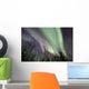 Aurora Borealis with Trees Wall Decal Design 8