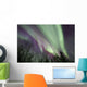Aurora Borealis with Trees Wall Decal Design 8