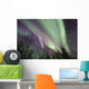 Aurora Borealis with Trees Wall Decal Design 8