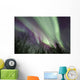 Aurora Borealis with Trees Wall Decal Design 8
